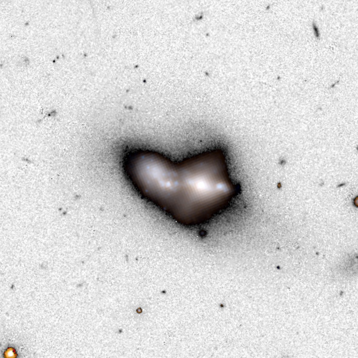 The compact H II galaxy SHOC 571 imaged by Euclid (VIS, Y, J), one of the 26 LCBGs observed with MEGARA